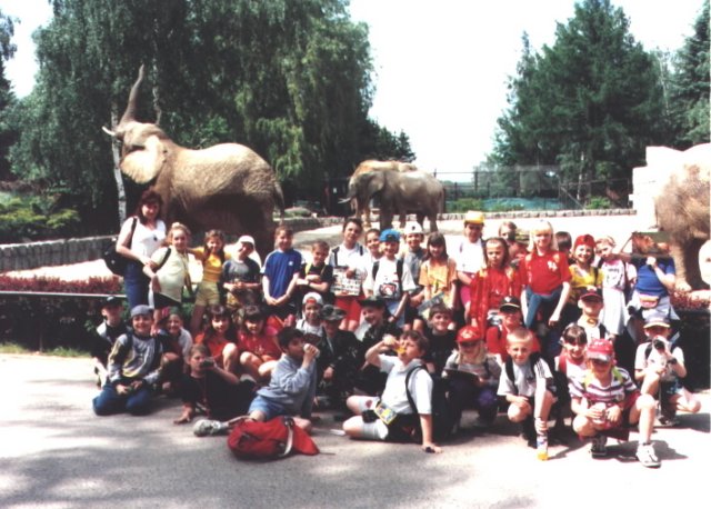 Photograph