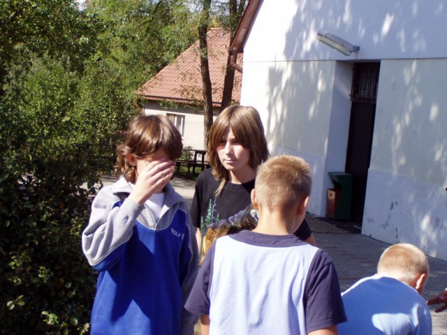Photograph
