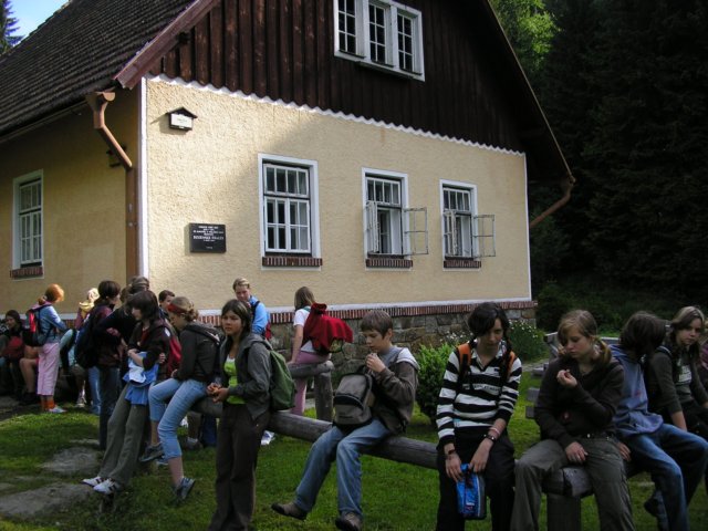 Photograph