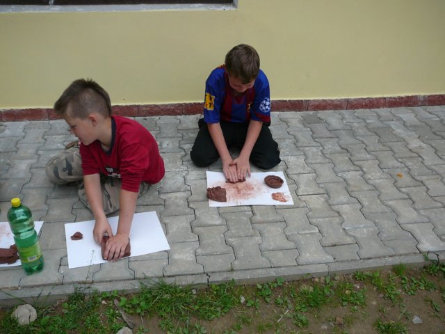 Photograph