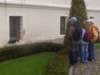 Photo Number 13