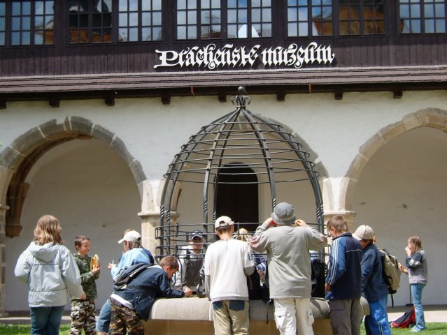Photograph
