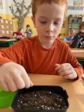 IMG-20250225-WA0014