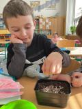 IMG-20250225-WA0019