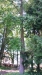 20160623_112503