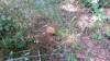 20160623_112853