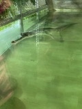 IMG_4045