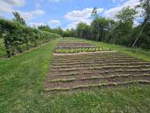 PHOTO-2026-06-04-21-12-56-5