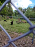 PHOTO-2026-05-21-12-49-44