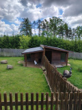 PHOTO-2026-05-21-12-50-00