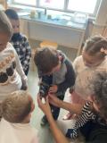 IMG-20251021-WA0016