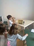IMG-20251021-WA0029