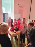 IMG_20251017_101902