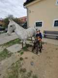 PHOTO-2025-04-22-13-14-00-5