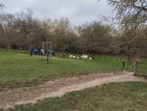 PHOTO-2025-04-23-12-11-16