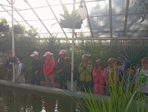 IMG_20250909_090910