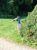 IMG_20250909_094817