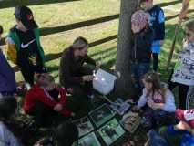 IMG-20240509-WA0026