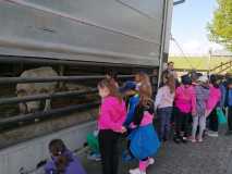 IMG-20240509-WA0027