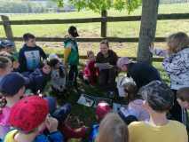 IMG-20240509-WA0033