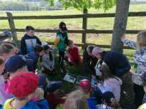 IMG-20240509-WA0034