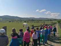 IMG-20240509-WA0047