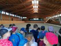 IMG-20240509-WA0052