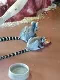 IMG-20240509-WA0058