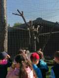 IMG-20240509-WA0062