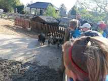 IMG-20240509-WA0065