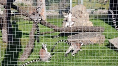 IMG_20240509_101402863_HDR