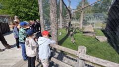 IMG_20240509_101446094_HDR