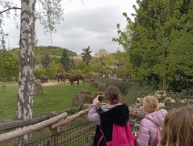 IMG_20240425_104000
