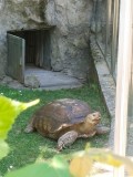 IMG_20230531_122942
