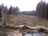 CAM01182.jpg
