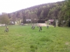 CAM01220.jpg