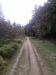 CAM01247.jpg