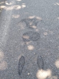 1559585642799