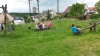 20160601_122523