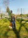 DSCN6608