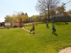 DSCN6631