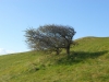 anglie-2012-182
