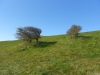 anglie-2012-183