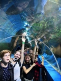 rbt