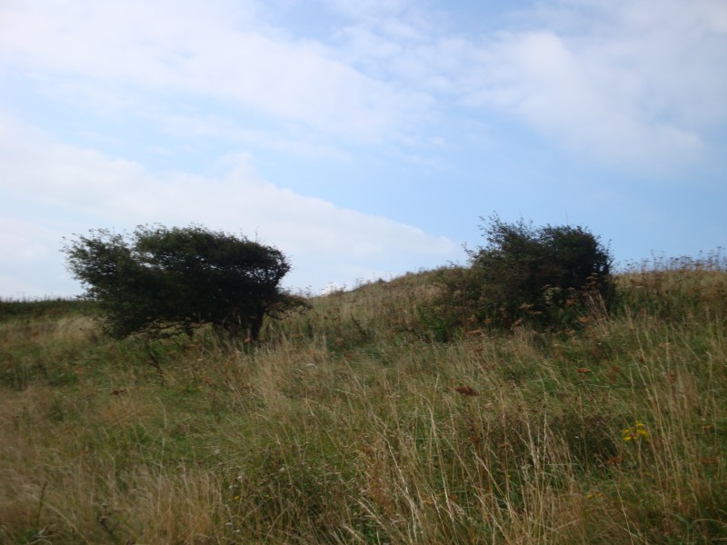 DSC04698