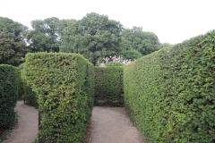 DSCN2313