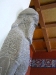berlin-32009-162.jpg