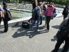 berlin-32009-198.jpg