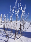 IMG_20220214_103956