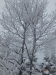 P2100017